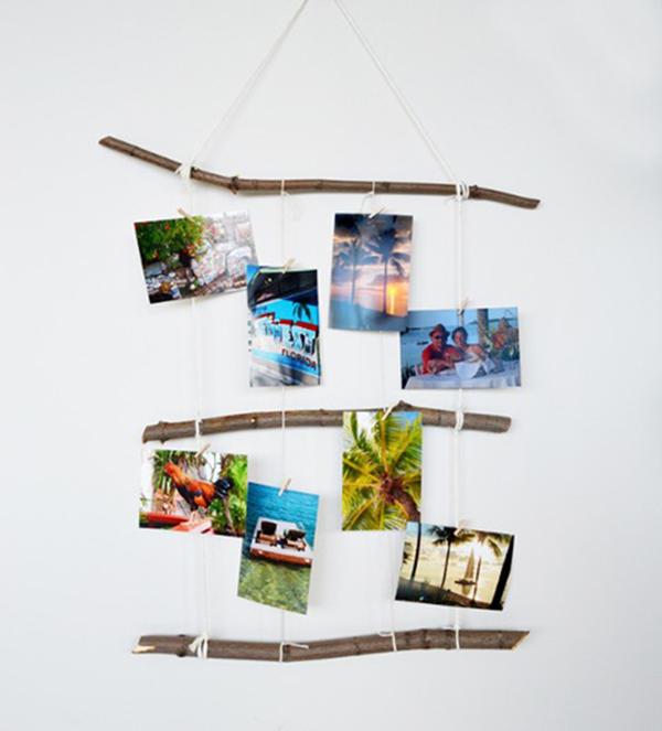 Natural Elements Photo Display